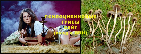 индика Алексин