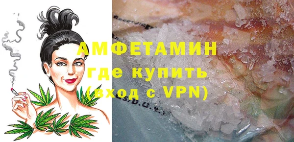 индика Алексин