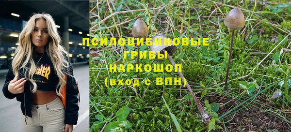 гашик Алзамай