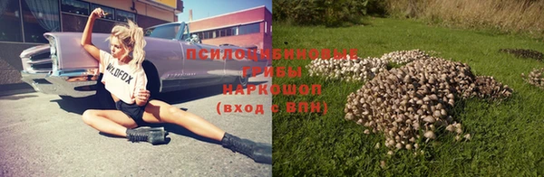 гашик Алзамай