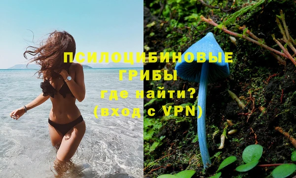 индика Алексин