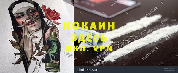 индика Алексин