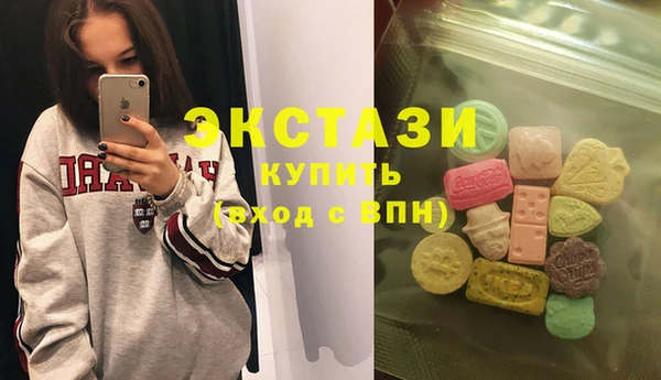 индика Алексин