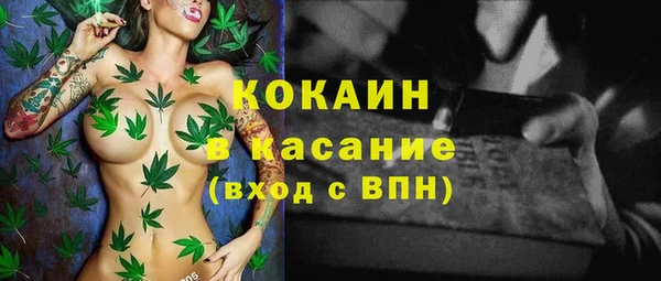 гашик Алзамай