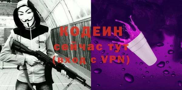 ПСИЛОЦИБИНОВЫЕ ГРИБЫ Каменка