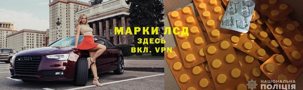 индика Алексин