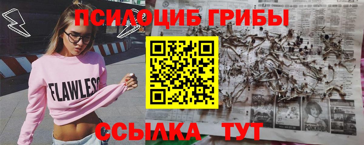закладки  Псилоцибиновые грибы Psilocybe  Галлюциногенные грибы GOLDEN TEACHER  Вход с VPN  Тамбов 