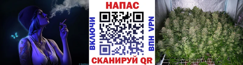 МАРИХУАНА гибрид  наркотики  ОМГ ОМГ онион  Тамбов 